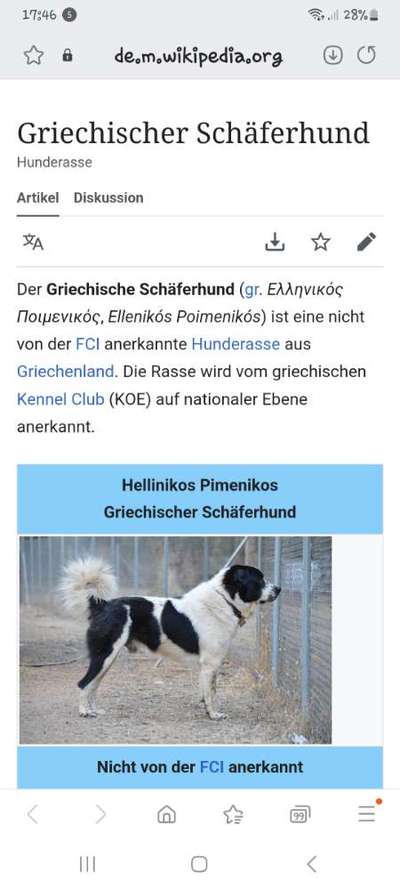 TierschutzhundeStammtisch🐕-Beitrag-Bild
