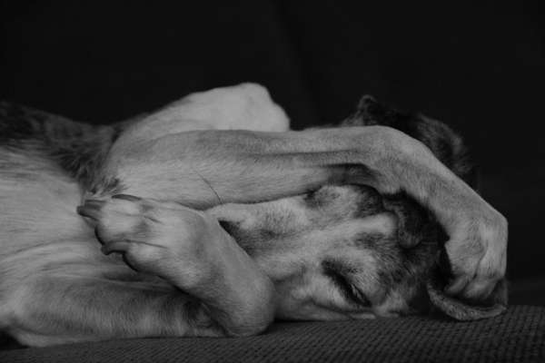 müde der kleine-Beitrag-Bild