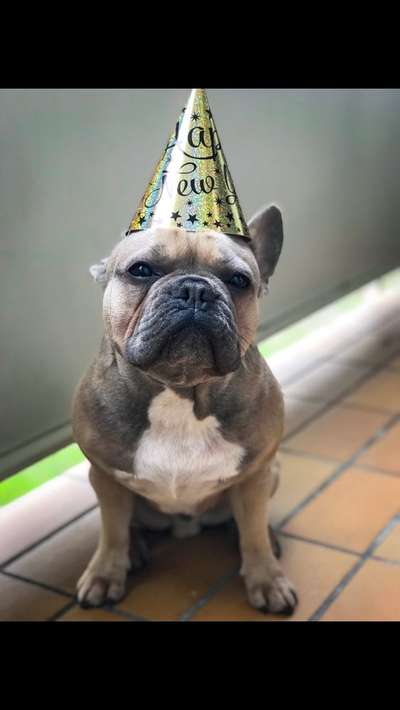 Fotochallenge Nr. 29 - Accessoires-Beitrag-Bild