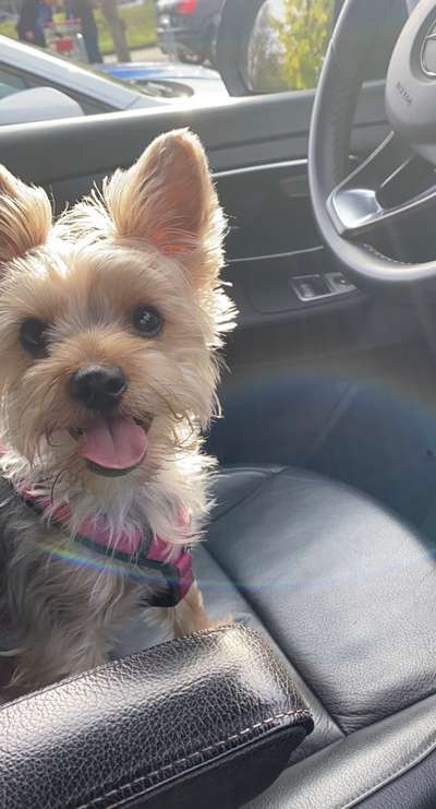 Fotochallange Nr. 57     PORTRÄT.   Beendet!!!!!!!!-Beitrag-Bild