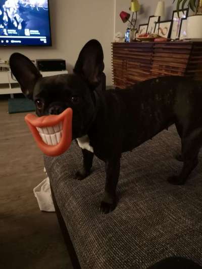 Lieblings Schnappschuss?-Beitrag-Bild