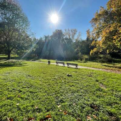 Hundeauslaufgebiet-Sulzbachpark-Bild