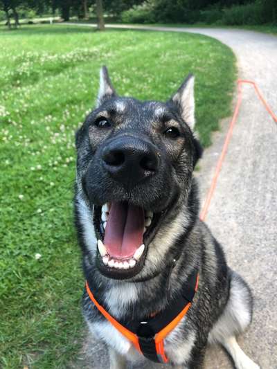 Fotochallange Nr. 57     PORTRÄT.   Beendet!!!!!!!!-Beitrag-Bild