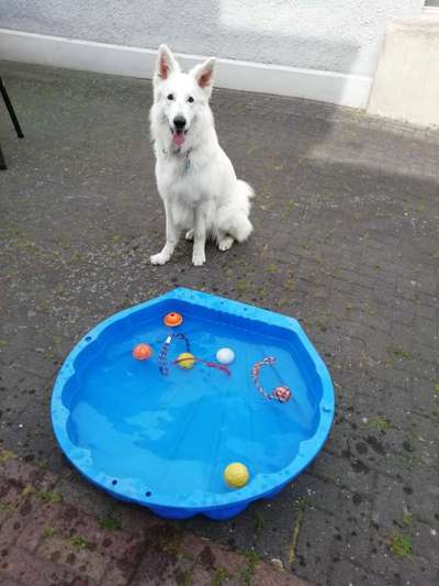 138. Fotochallenge 

(M)Ein Ball und ich-Beitrag-Bild