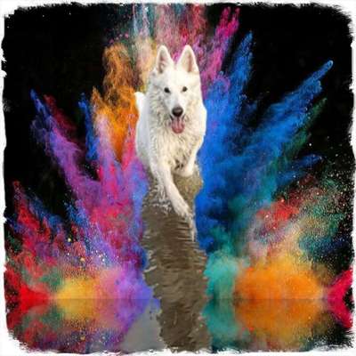 21. Farben / Foto Challenge - Neon / Leuchtfarben-Beitrag-Bild