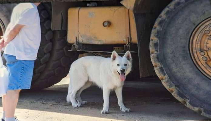 56. Handy Foto Challenge - Grosse Maschinen-Beitrag-Bild