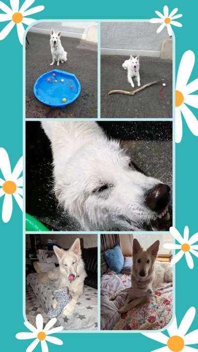 Zeige deinen Schatz mit seinem Lieblingsspielzeug.-Beitrag-Bild