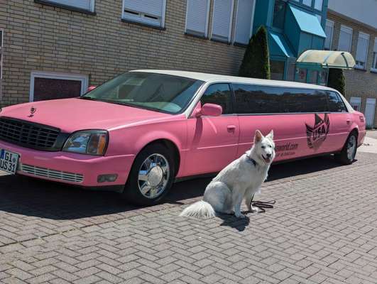 141. FOTO CHALLENGE 
Reisende soll man nicht aufhalten-Beitrag-Bild