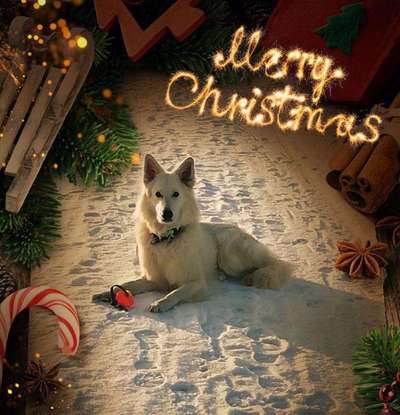 It's beginning to look a lot like.....-Beitrag-Bild