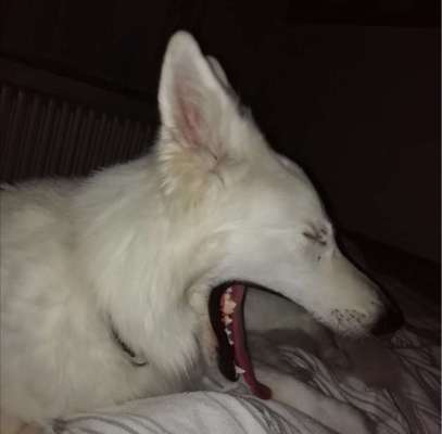 Foto-Challange No.1 - Alles aber nicht die Kamera-Beitrag-Bild