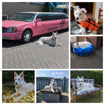 48. Collagen Challenge: Das Leben ist bunt-Beitrag-Bild