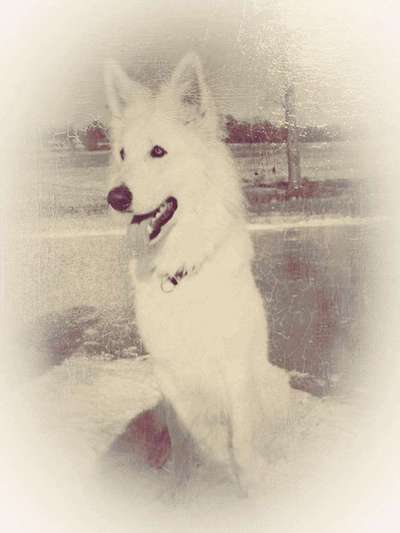 FarbenFoto - Challenge: Sepia-Beitrag-Bild