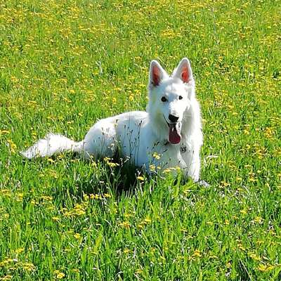 Regina's Profilbild