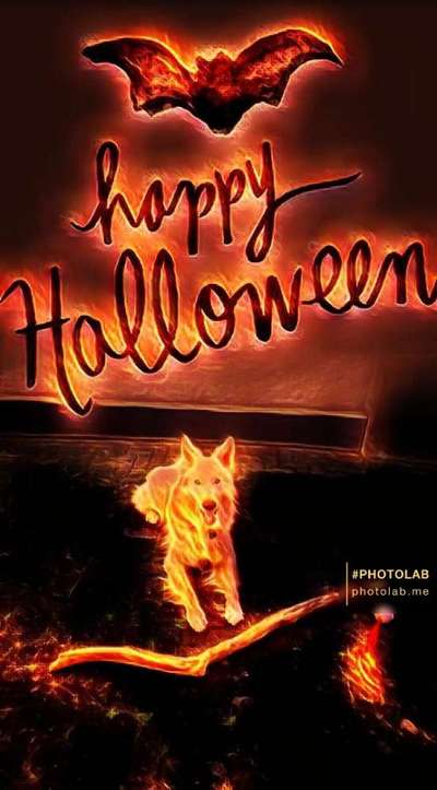 Fotochallange Nr.53 "HALLOWEEN"-Beitrag-Bild