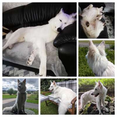 53. Collage Challenge - Verschiedene Blickwinkel-Beitrag-Bild