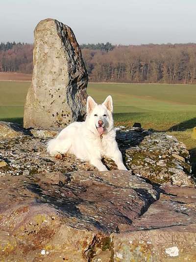 82. Foto Challenge: Skulptur/ Denkmal-Beitrag-Bild