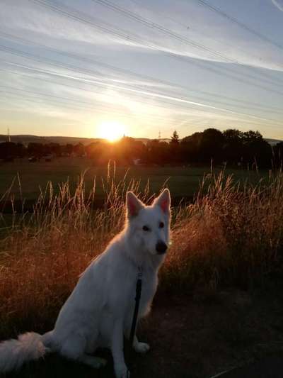 Sonnenaufgänge oder - untergänge-Beitrag-Bild