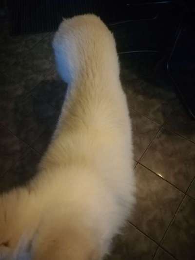 Der Gewichts-Thread-Beitrag-Bild