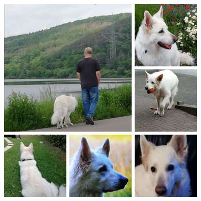 53. Collage Challenge - Verschiedene Blickwinkel-Beitrag-Bild