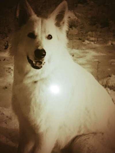 Ton in Ton-Beitrag-Bild