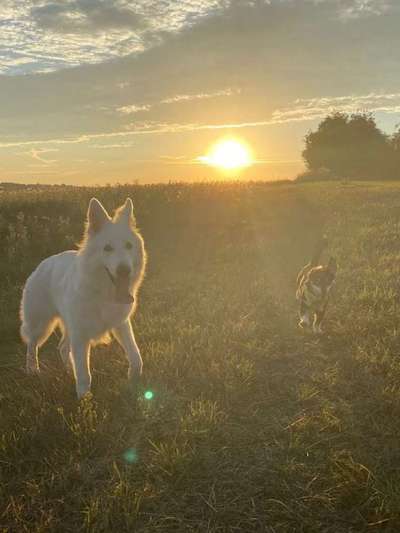 Foto Wettbewerb-Beitrag-Bild