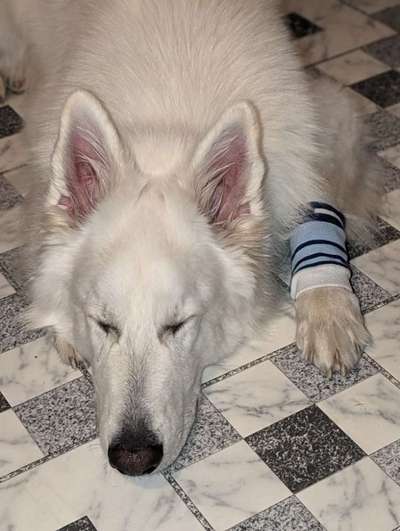 32. Farben Challenge  ** ( BUNTE ) STREIFEN **-Beitrag-Bild