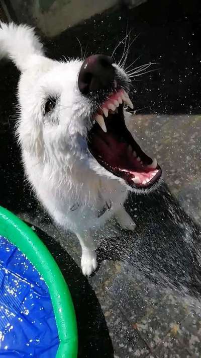 Moviestar-Pics!-Beitrag-Bild