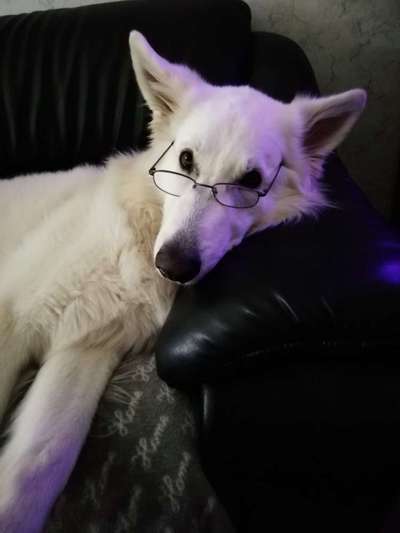 20. Collagen Challenge - "Lustige Schnappschüsse"-Beitrag-Bild