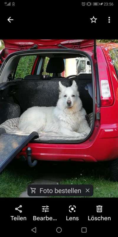 11. Farben Foto Challenge Rot-Beitrag-Bild