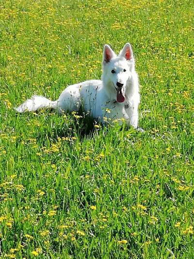 Farben Fotochallenge Thema ,,Grün"-Beitrag-Bild