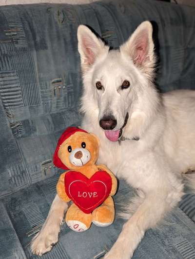 67. Handy Foto Challenge: Rotes Herz-Beitrag-Bild