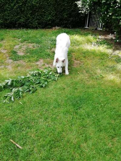 Fotochallenge 129-Beitrag-Bild