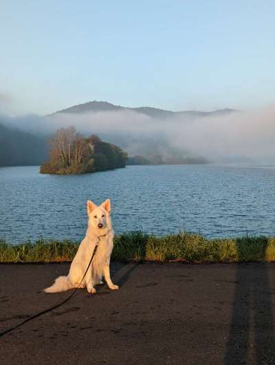 31. Farben Challenge - Petrol-Beitrag-Bild