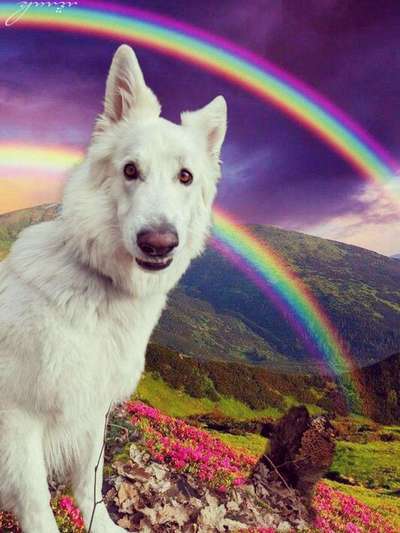 24. Farben Fotochallenge / Regenbogenfarben oder so bunt wie möglich!-Beitrag-Bild