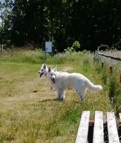 Fotochallenge 130-Beitrag-Bild