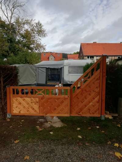 154. FotoChallenge * AUFS BILD GEMOGELT *-Beitrag-Bild