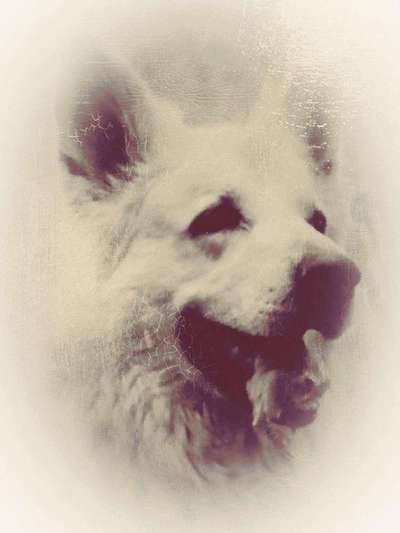 FarbenFoto - Challenge: Sepia-Beitrag-Bild