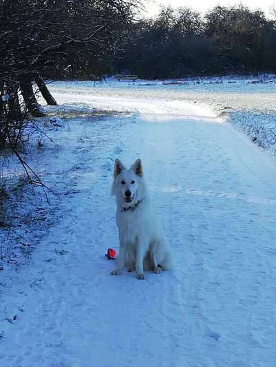 Ton in Ton-Beitrag-Bild