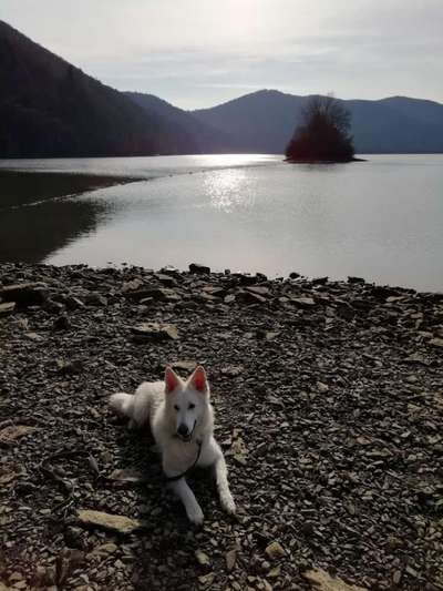 35. Handy Foto Challenge - Das nasse Element-Beitrag-Bild