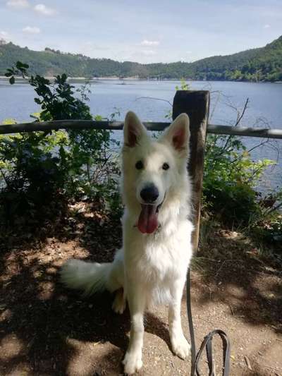 19. Collagen Challenge - Brücken-Beitrag-Bild