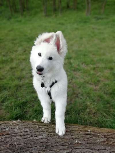 147. Foto Challenge: Bettelblick-Beitrag-Bild