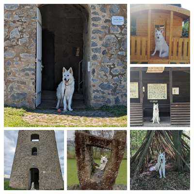 58. Foto Collagen Challenge: Torbögen-Beitrag-Bild