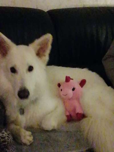 30. Farben Challenge - Pink-Beitrag-Bild