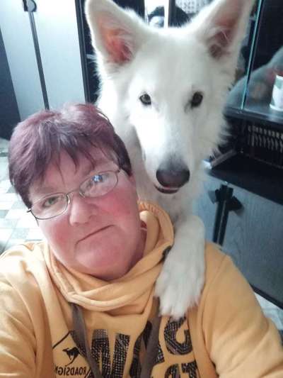 Dogorama Photo Challenge - Liebesbeweis-Beitrag-Bild