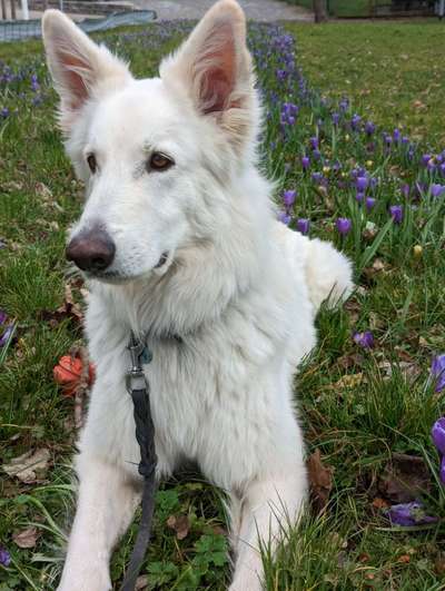 Fotochallenge Nr. 126-Beitrag-Bild