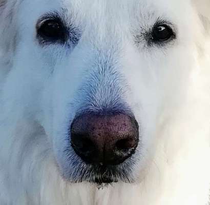 150. Foto Challaenge:  Die Augen, der Spiegel der Seele-Beitrag-Bild