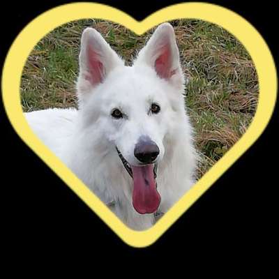 19. Collagen Challenge - Brücken-Beitrag-Bild