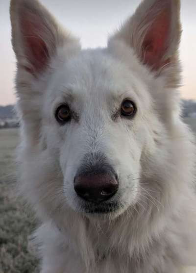 150. Foto Challaenge:  Die Augen, der Spiegel der Seele-Beitrag-Bild