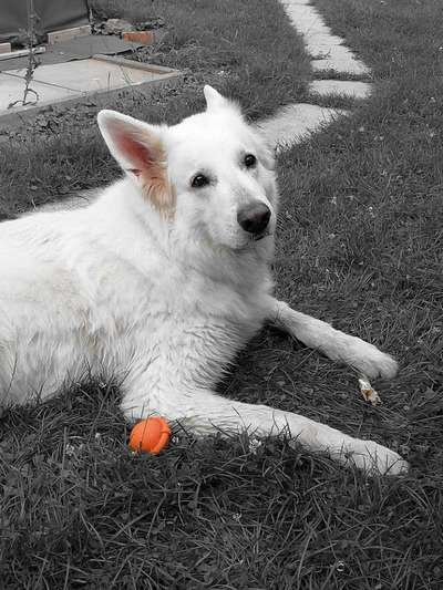 6. Farben Foto Challenge: "ColourKey Effekt"-Beitrag-Bild