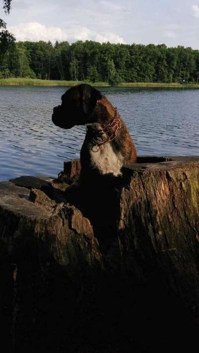 Theos Fotochallenge Nr. 3-Beitrag-Bild